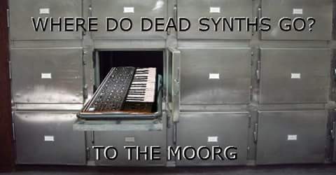 DHYWJmpVwAAnNIS.jpg