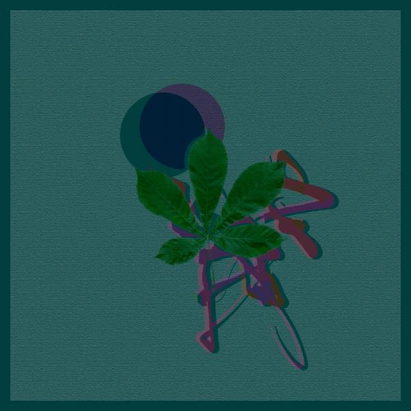CausaliDox - Coda.jpg