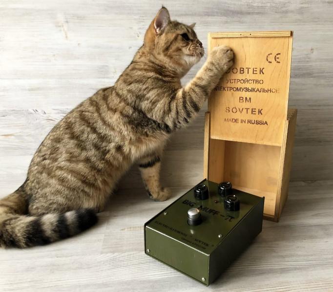 Big Muff-03.jpg