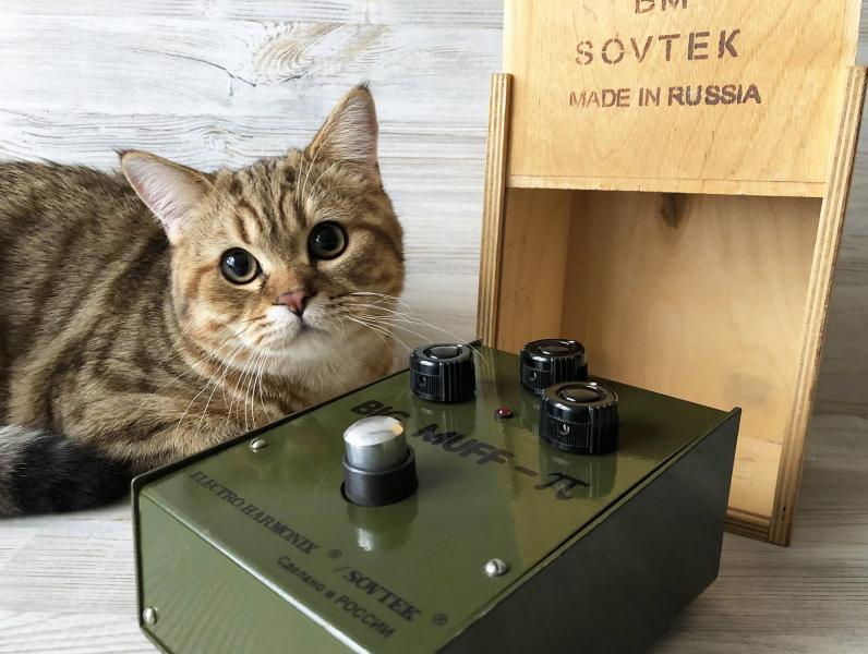 Big Muff-02.jpg