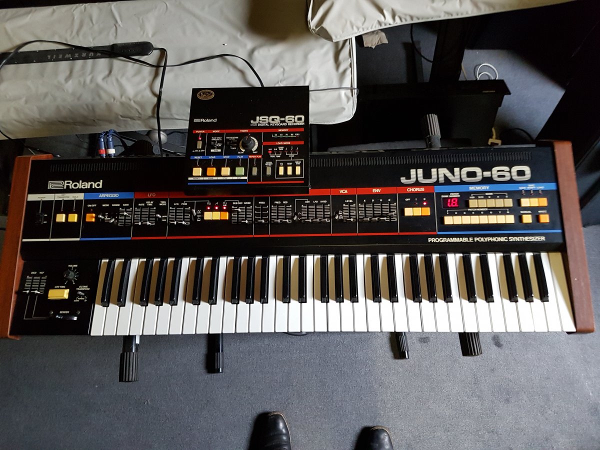 Juno-1.jpg