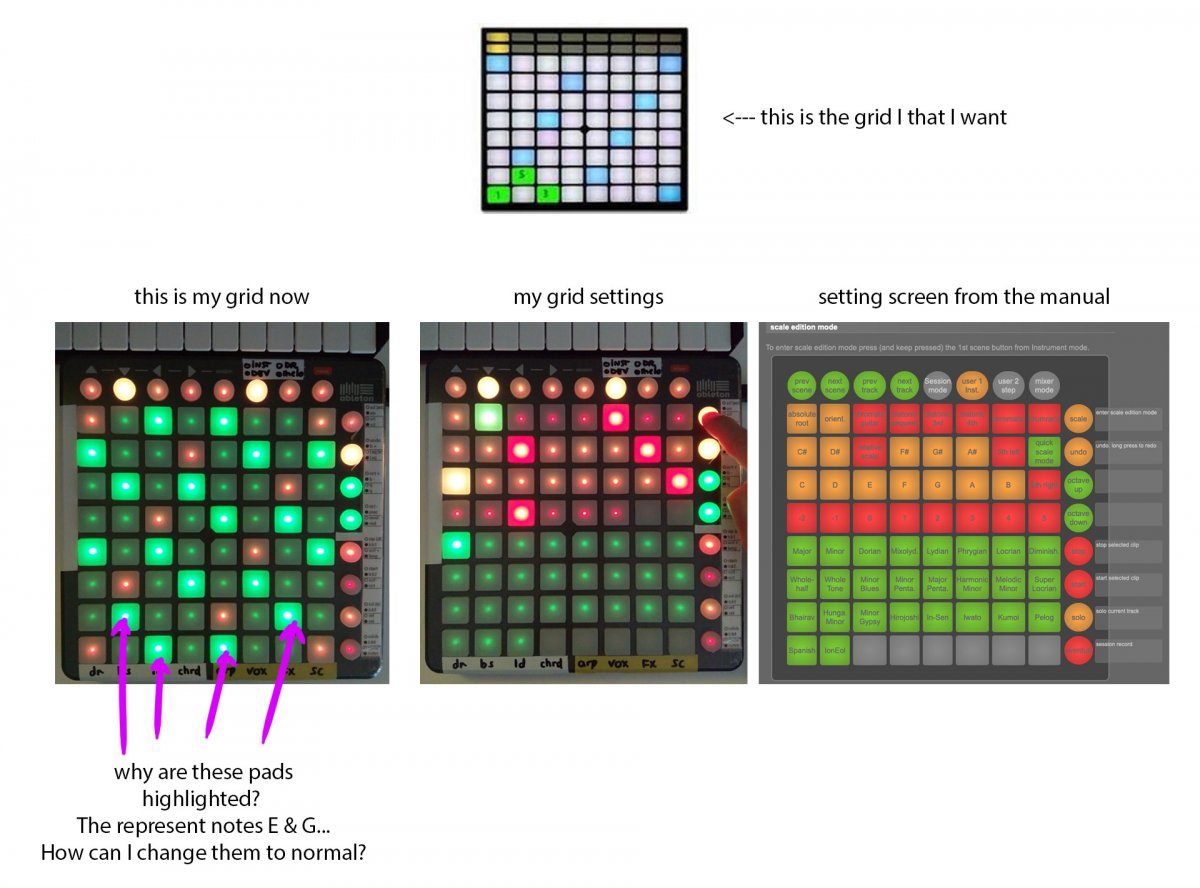 grid.jpg