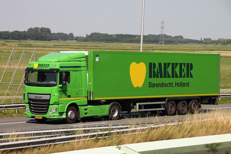 bakker.jpeg