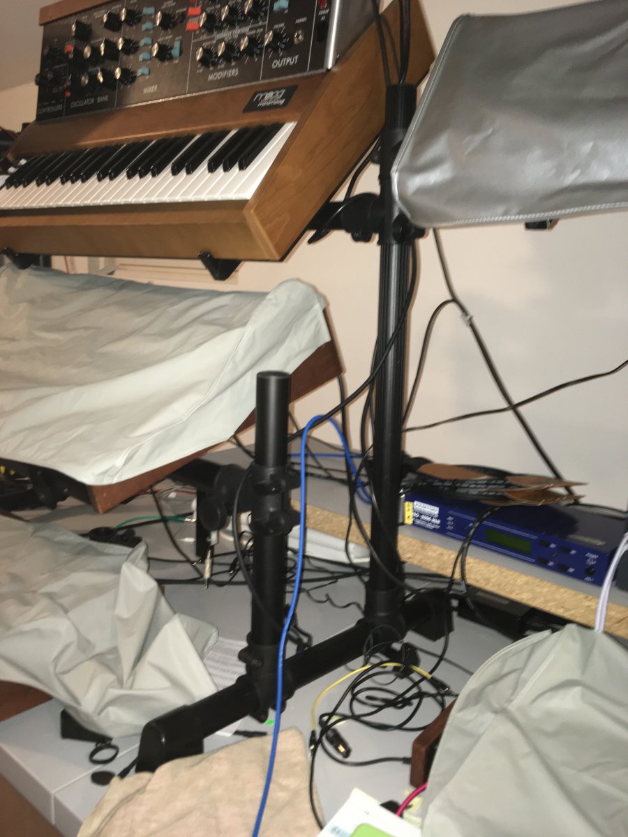 IMG_4250.jpeg