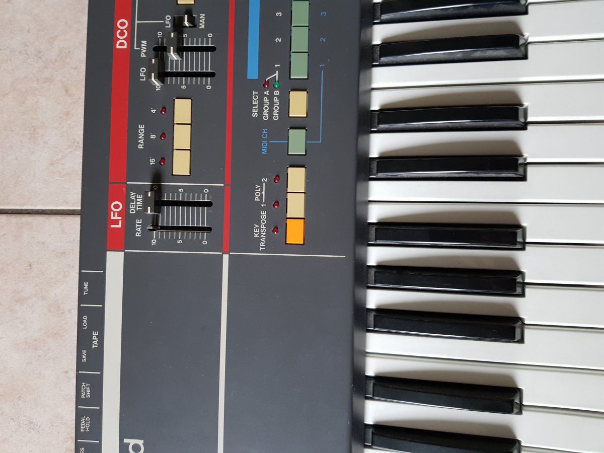 20210714_133258.jpg