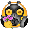 ach2.png