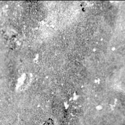 raw foto mars2.jpg