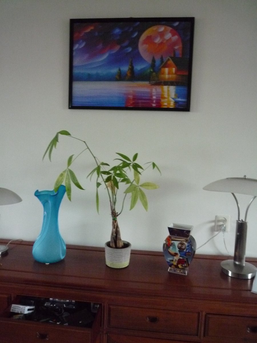 P1010039.JPG