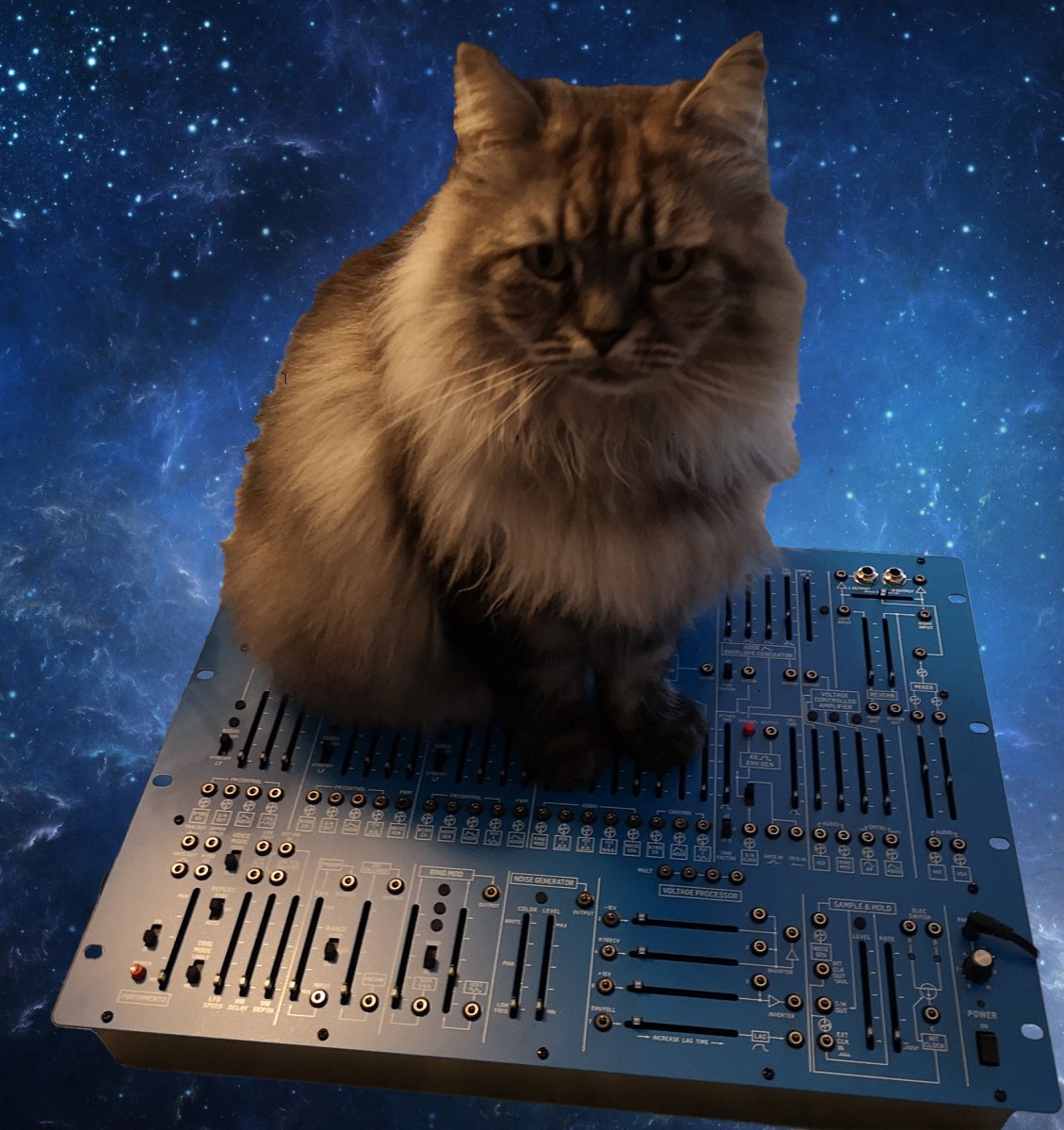 Simba 2600 in space.jpg