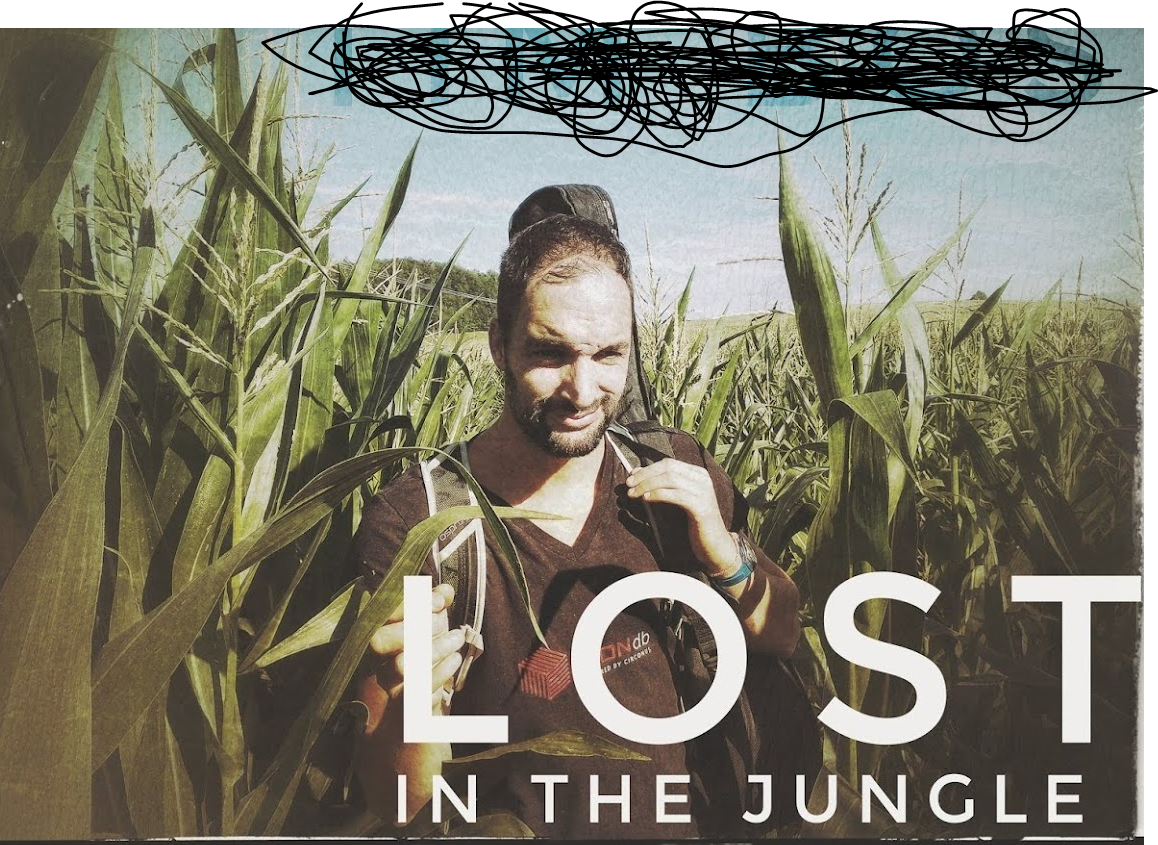 1696406231981.png