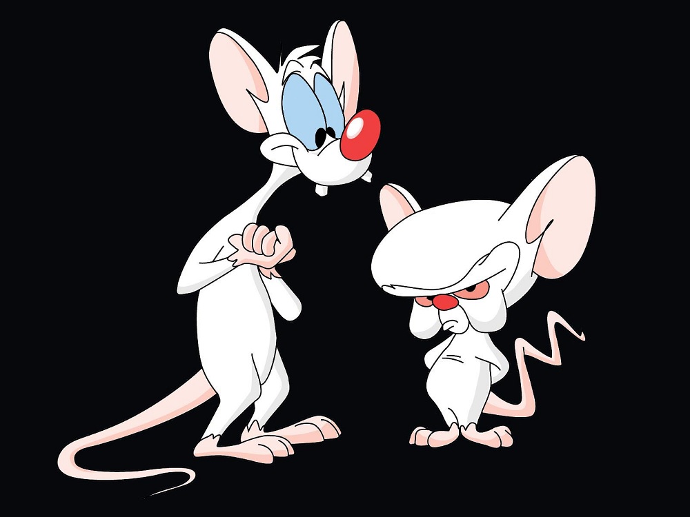 pinkyandthebrain.jpg