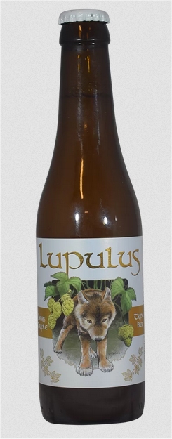 Lupulus.jpg