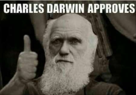darwin.jpg