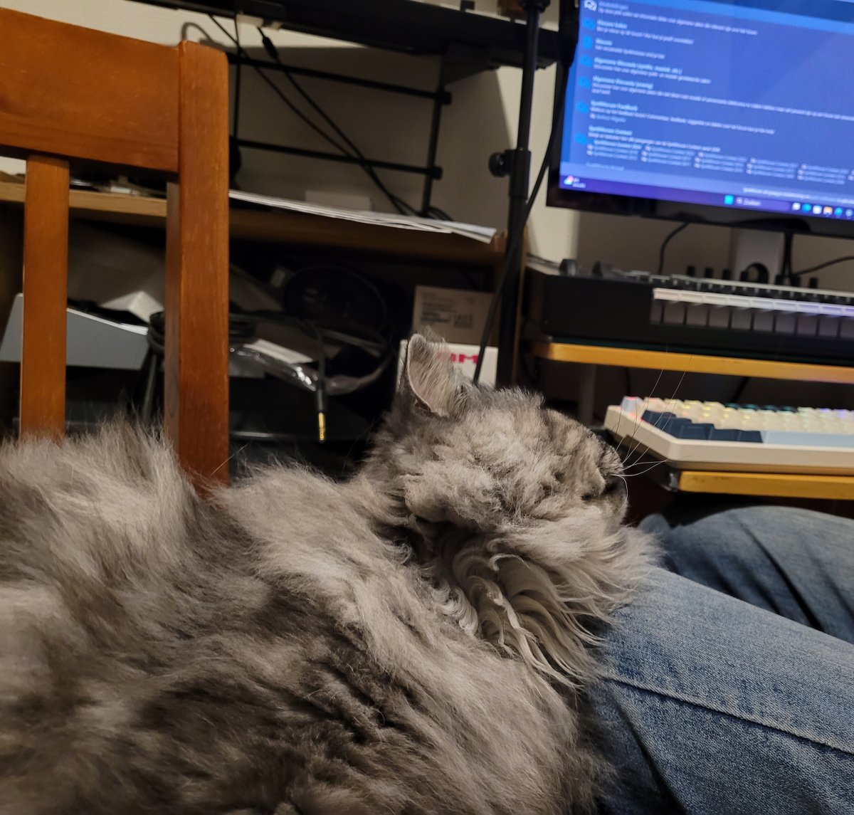 Simba 2.jpg