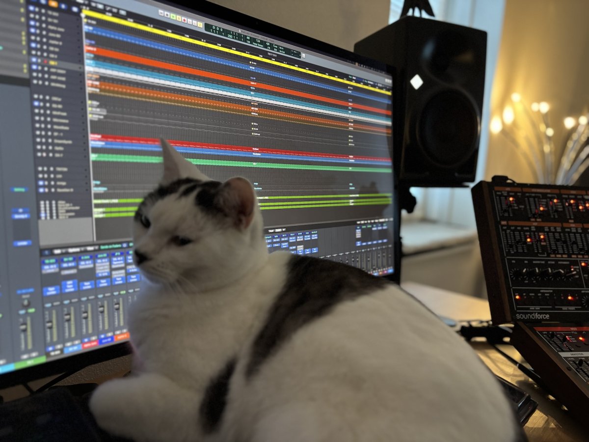 Mia mixer 2.jpg