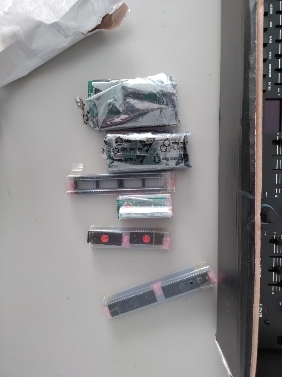 20250304_101005.JPG