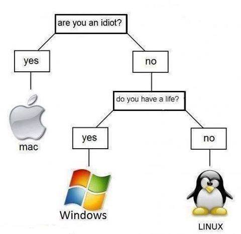 windows.jpg