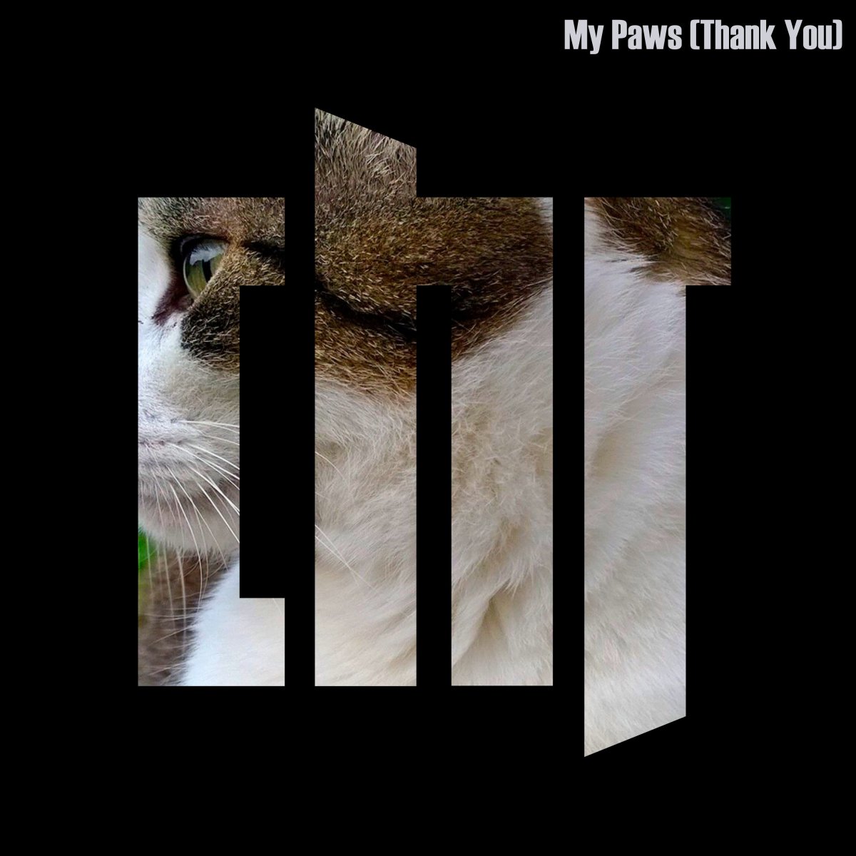 Axel Goldstein - My Paws.jpg