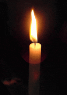 1743488483408.gif