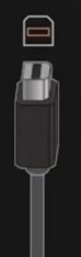 input Scarlet.jpg