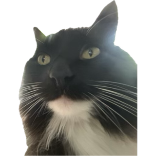 1751653676557.png