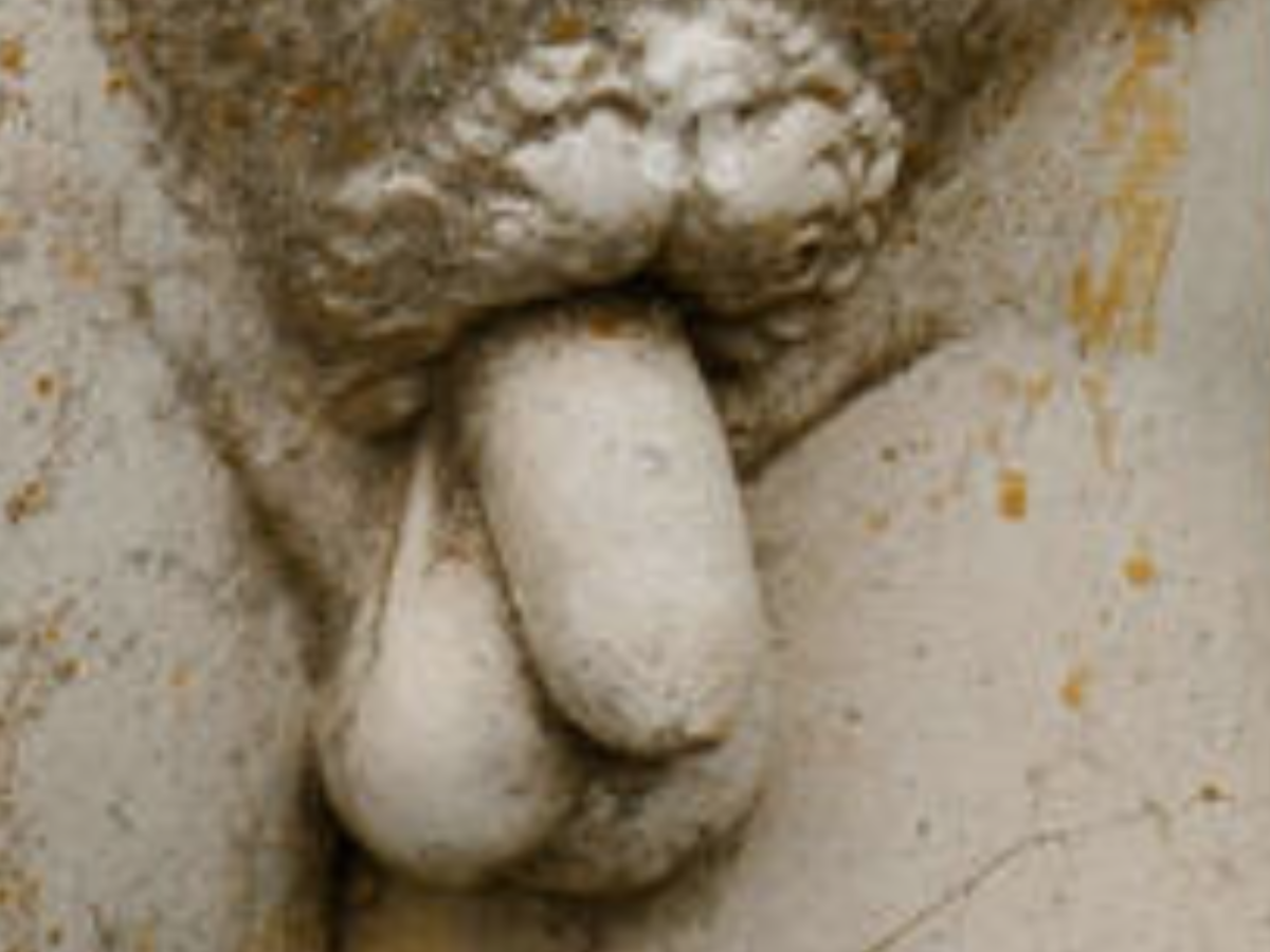 IMG_0166.png