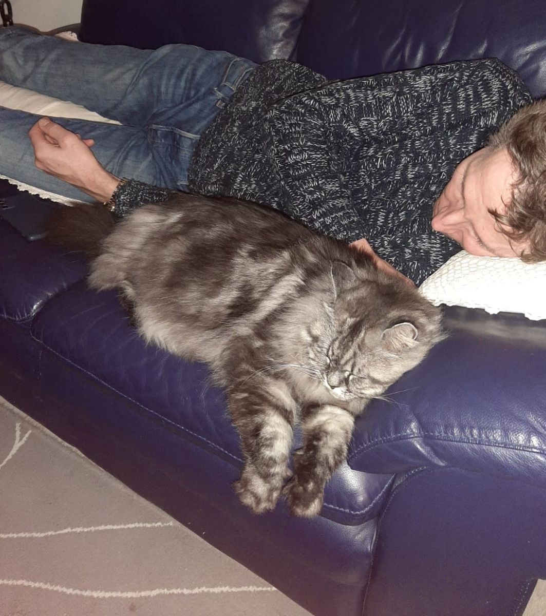 Ik met 'n kater.png