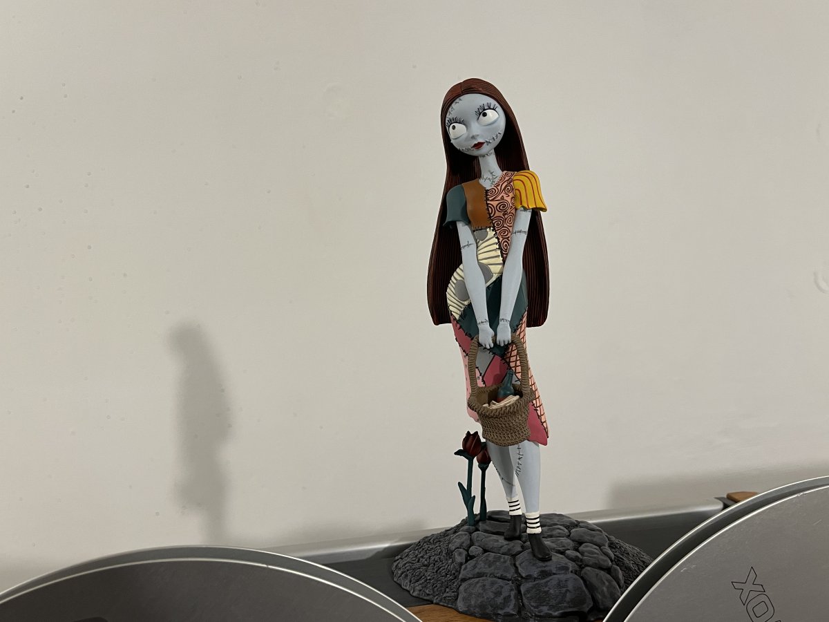 IMG_5004.jpg