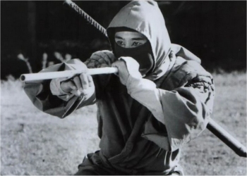 ninja-.jpg