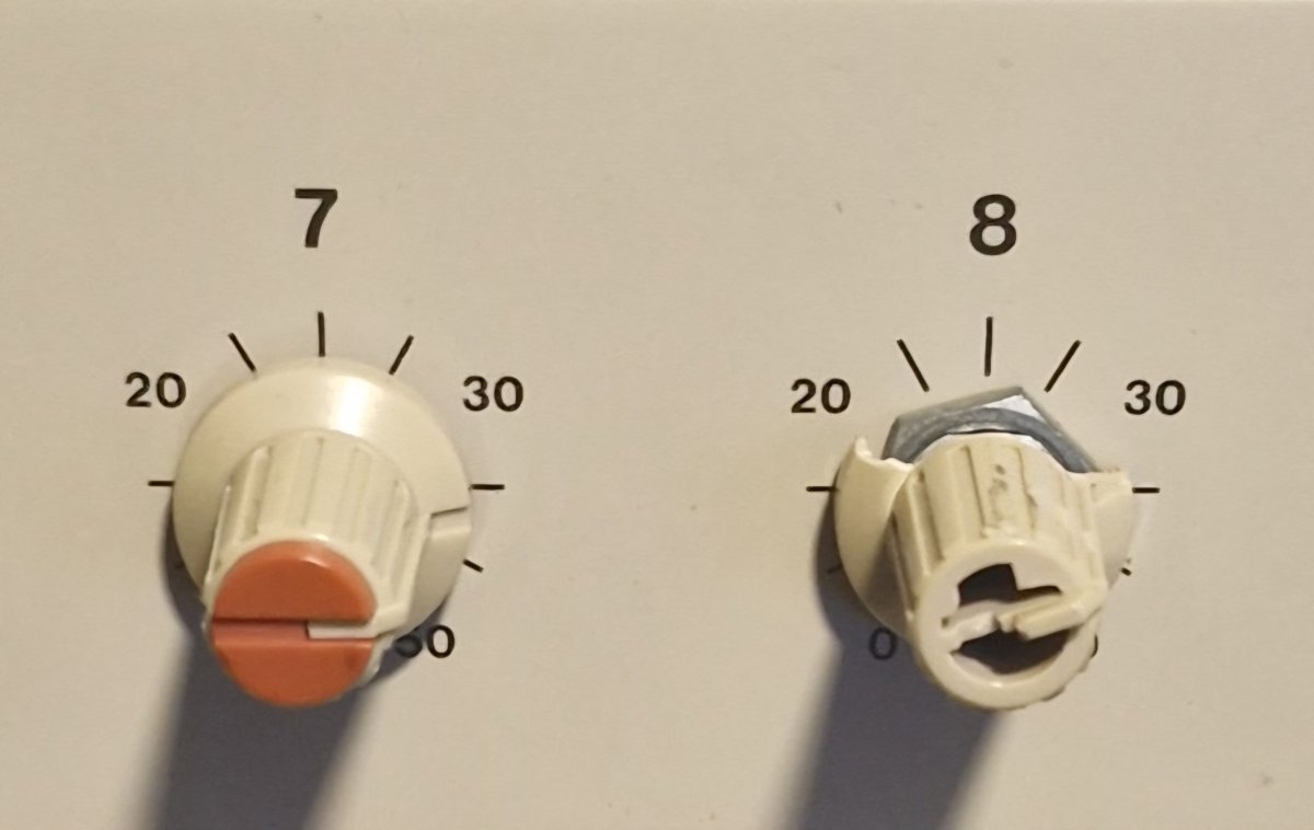 1000040972.jpg