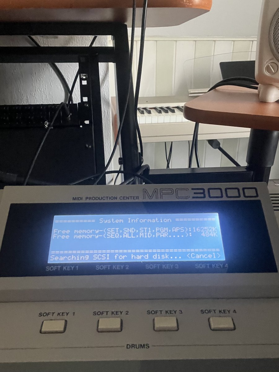 IMG_1264.jpeg