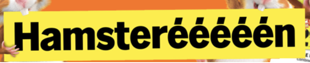 1771614178842.png