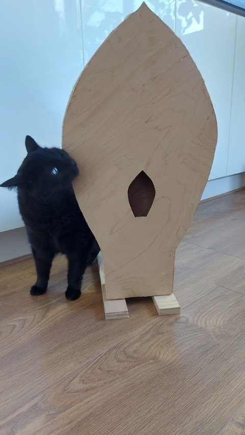 pre palme ondes .jpg