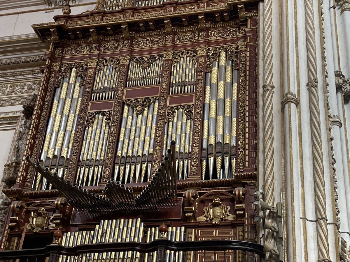 IMG_8892.jpeg