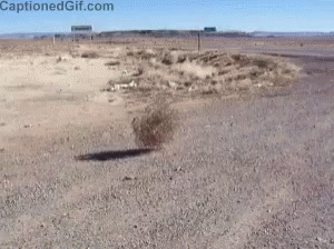 t1.gif