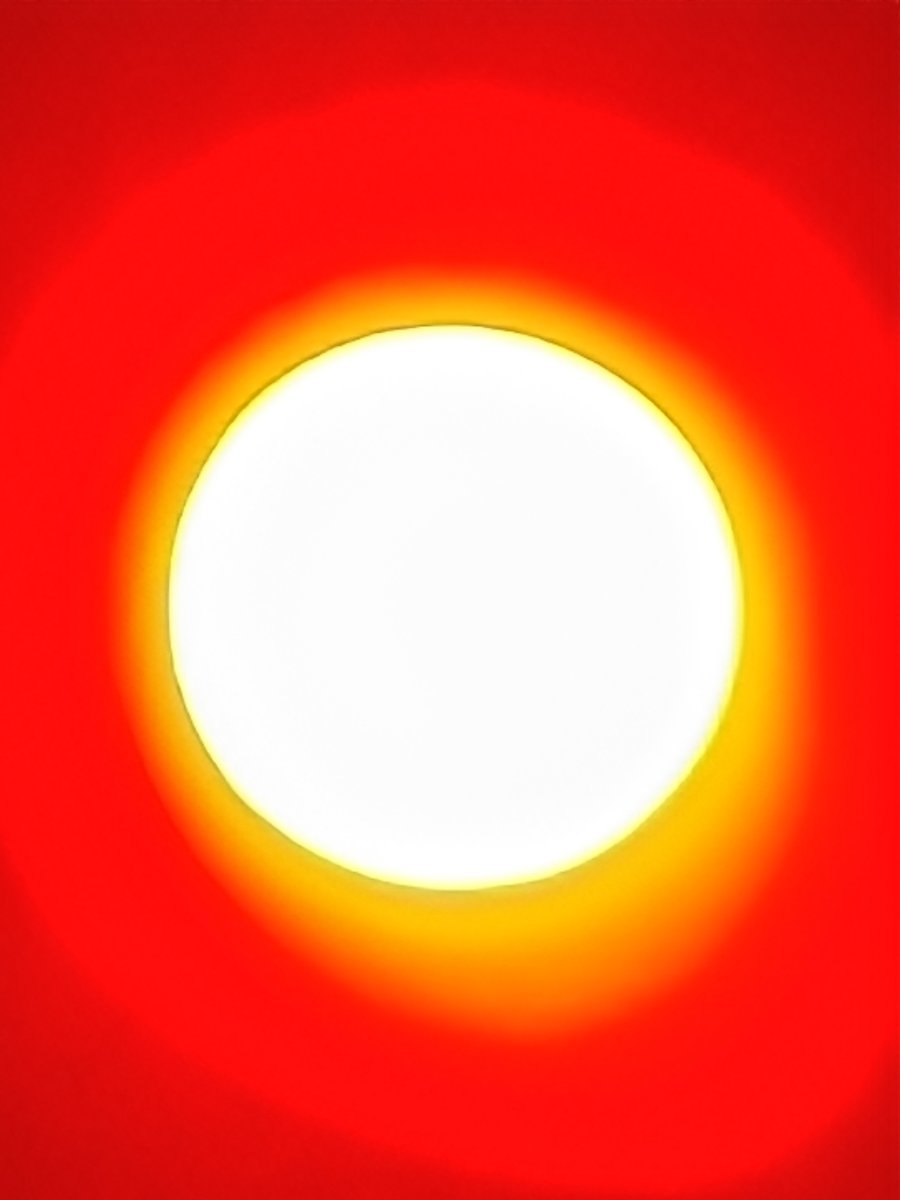 1000023044.jpg