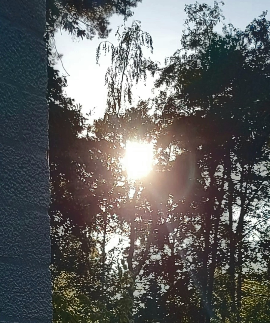 1000024334.jpg