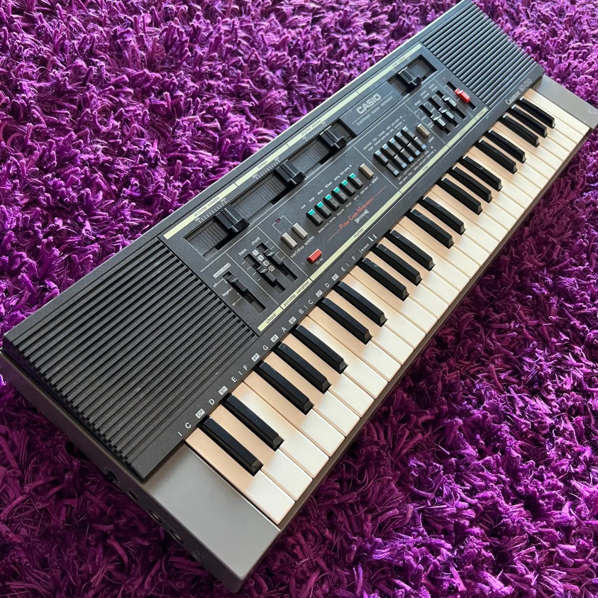 casio.jpg