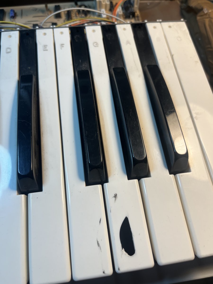 IMG_7905.jpeg
