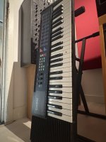 IMG_3395.jpeg