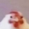 Hylke